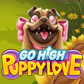 Play the Go High Puppy Love slot by RubyPlay on Felicebet Casino